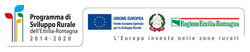 Programma di sviluppo rurale - Fondo europeo agricolo