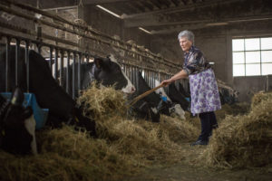 borettini azienda agricola