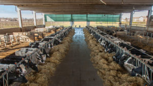 az agr catellani2